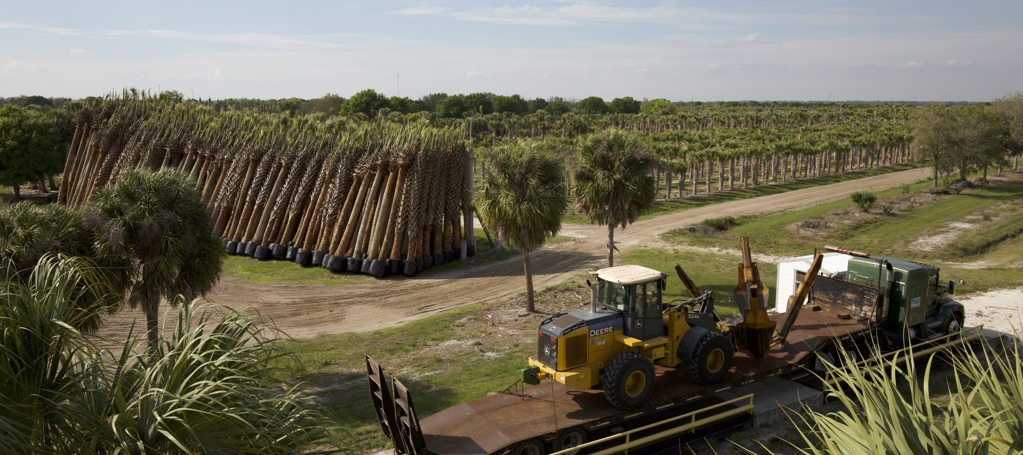 Griffin Trees Inc